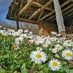 Authentic House With Stunning Mountain View - Karashka * Apriłci