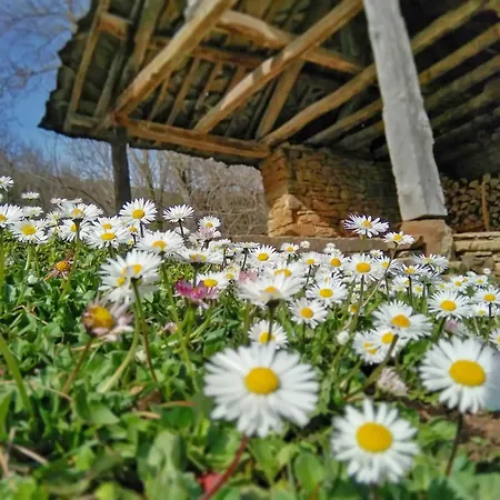 Authentic House With Stunning Mountain View - Karashka * Apriltsi (Lovech)