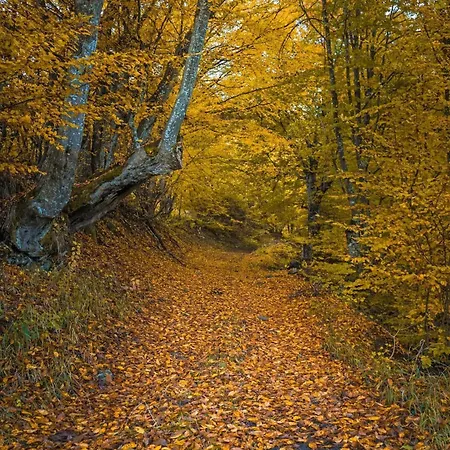 Authentic House With Stunning Mountain View - Karashka Nyaraló *