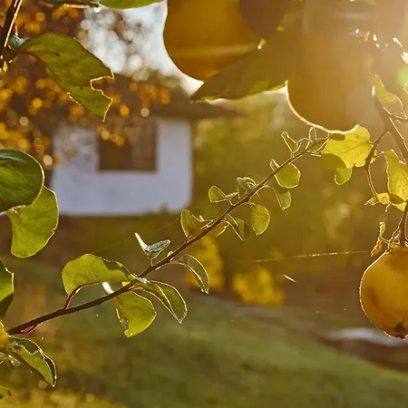 Authentic House With Stunning Mountain View - Karashka