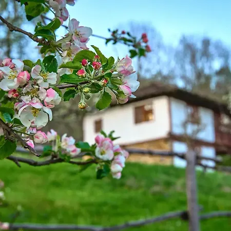 Nyaraló Authentic House With Stunning Mountain View - Karashka *