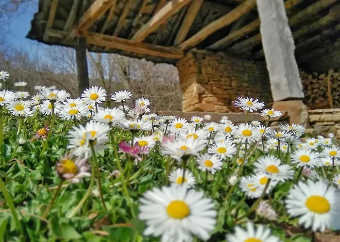 Authentic House With Stunning Mountain View - Karashka * Apriltsi (Lovech)