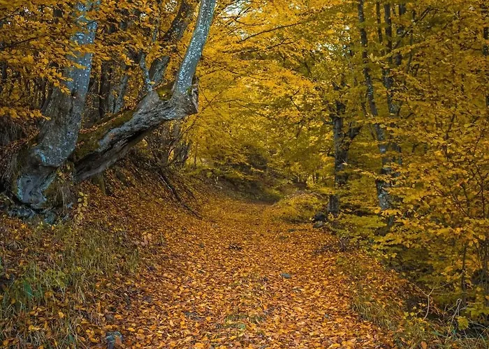 Authentic House With Stunning Mountain View - Karashka Holiday home *