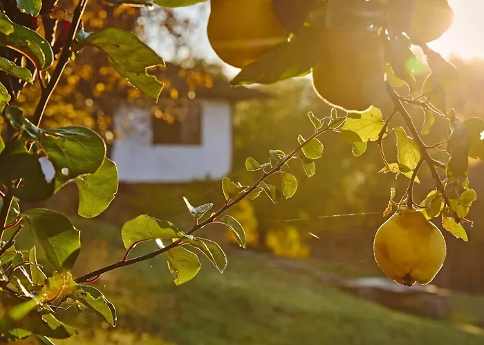 Authentic House With Stunning Mountain View - Karashka